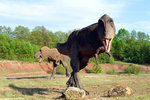 T-rex.jpg T-rex.jpg